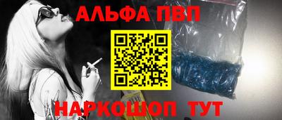 индика Кингисепп