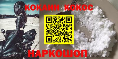 индика Кингисепп