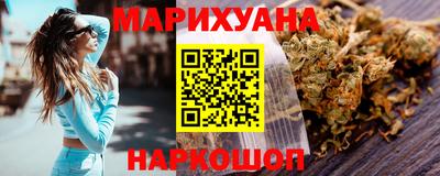 индика Кингисепп