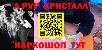индика Кингисепп