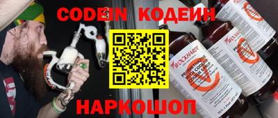 индика Кингисепп