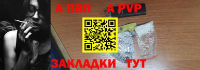 индика Кингисепп