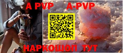 индика Кингисепп