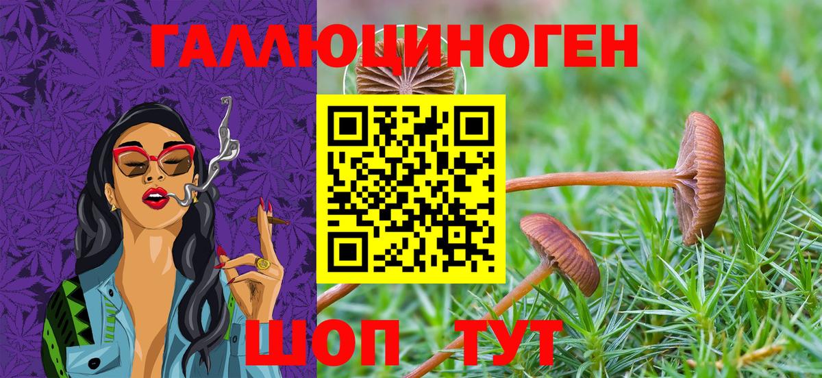 Галлюциногенные грибы прущие грибы Королёв
