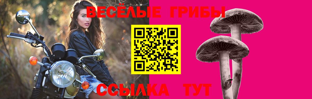 Королёв  Псилоцибиновые грибы мухоморы  Вход с VPN 